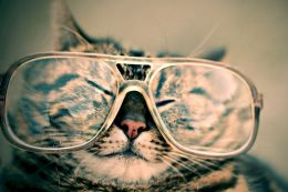 <br/>Promotion permanente